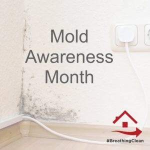 Mold Awareness Month