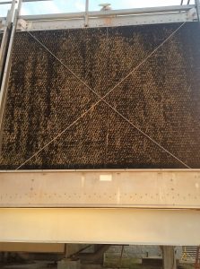 dirty cooling tower