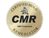1252613032_cmr